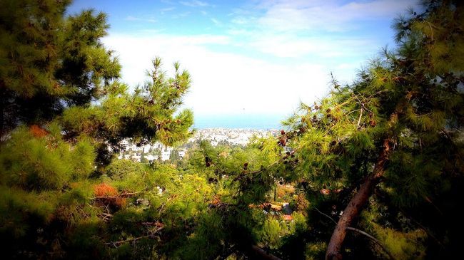 Onar Village Kyrenia  Esterno foto