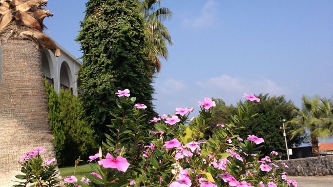 Onar Village Kyrenia  Amenities foto